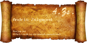 Andris Zsigmond névjegykártya